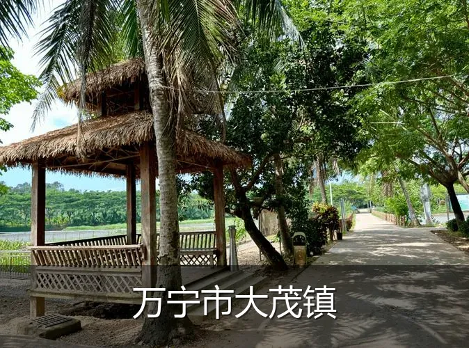 万宁市大茂镇